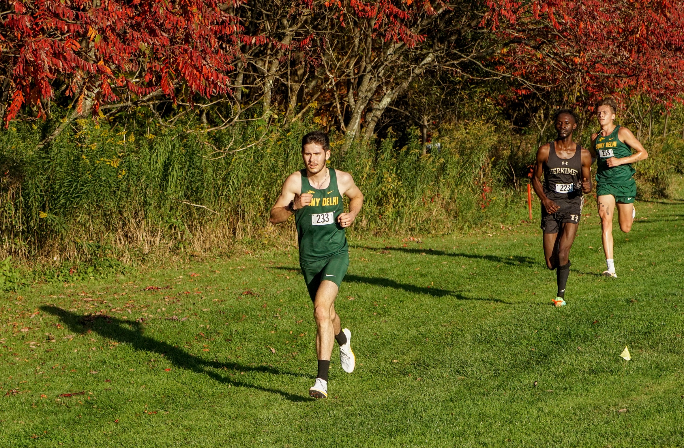 Delhi Cross Country takes home top spots in 25th Annual Bronco Classic