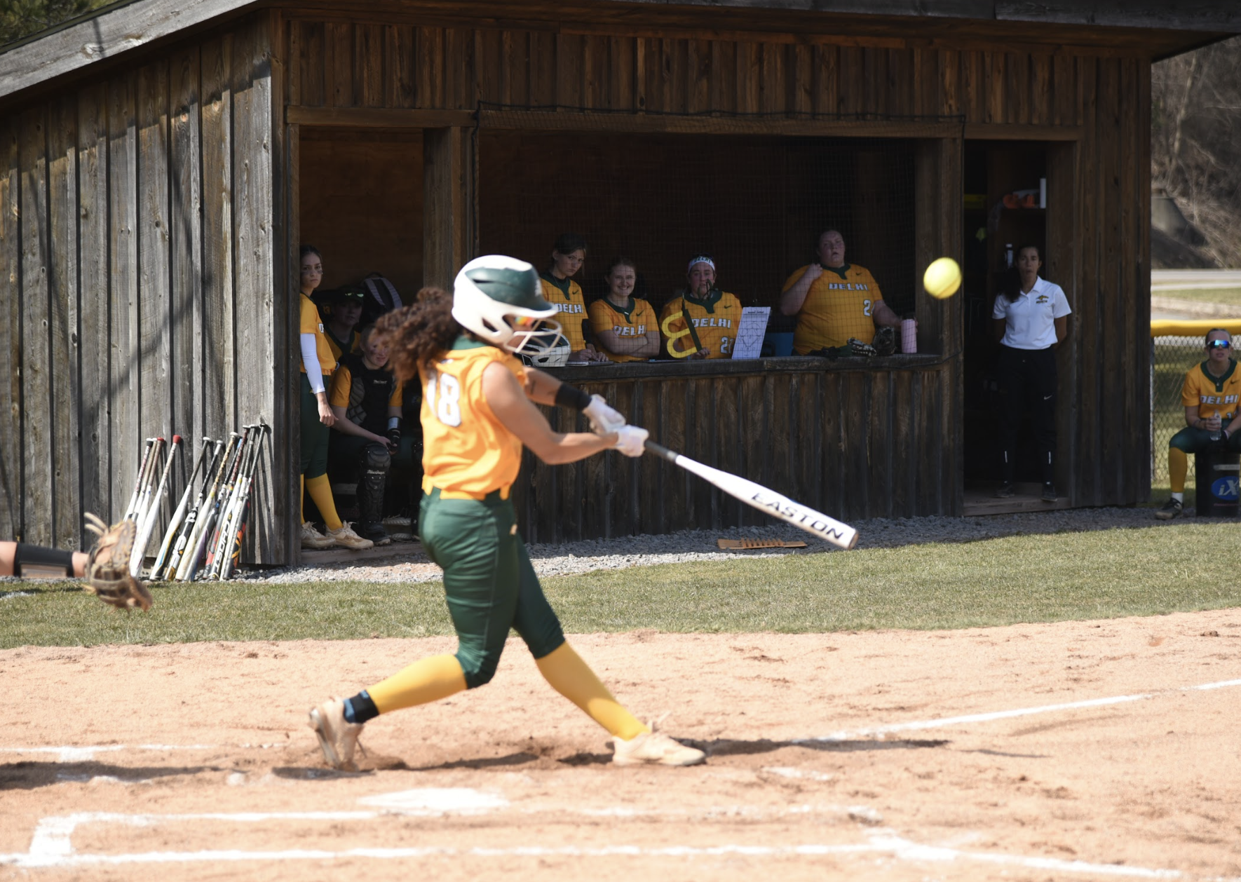 Softballs drops doubleheader against Alfred State at home