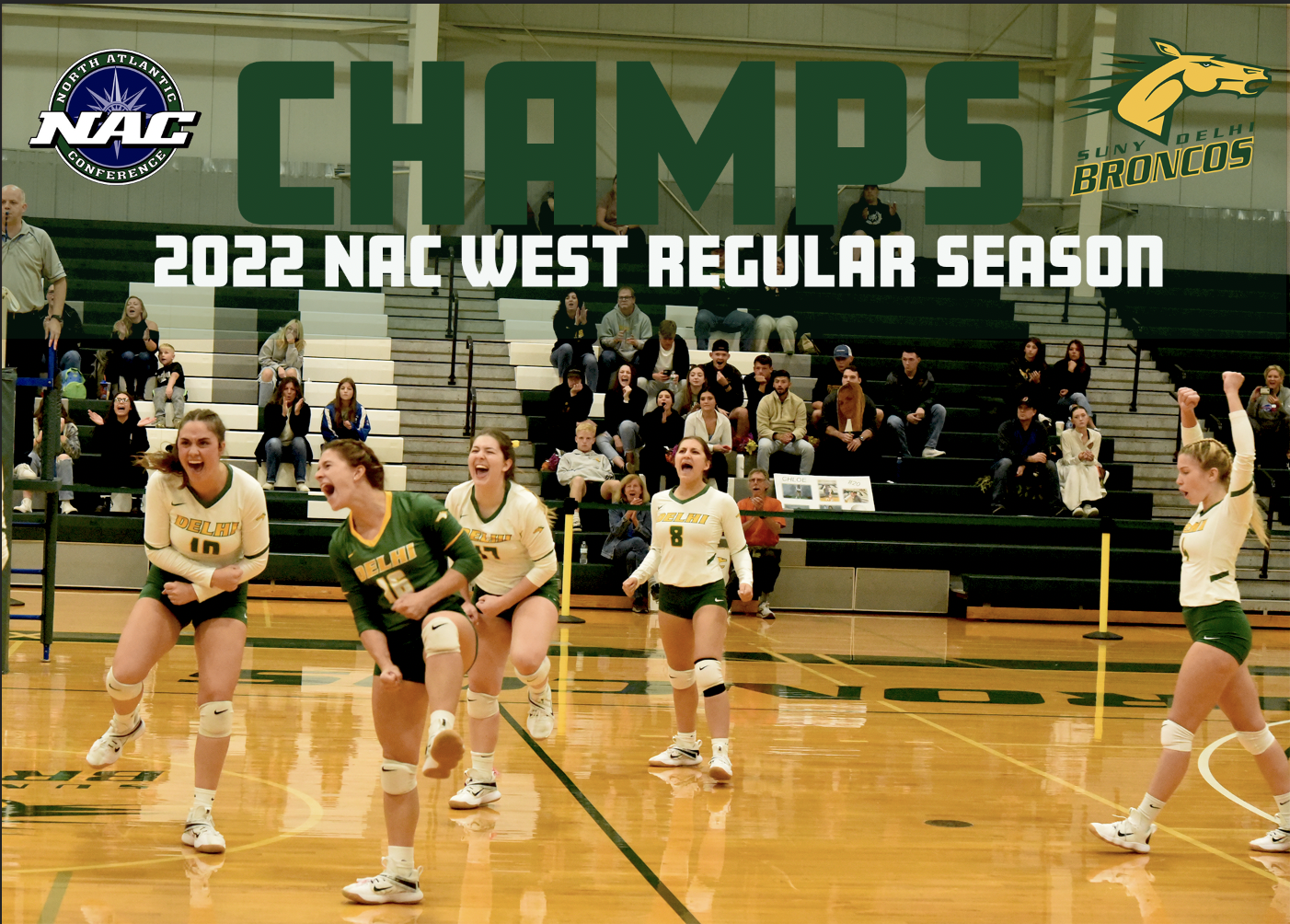 Women's Volleyball 2022 Playoff Preview