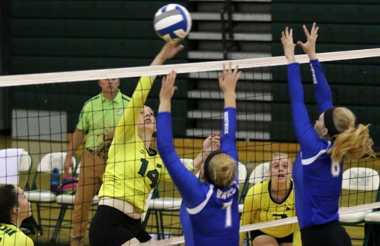 Volleyball Edged Out in Saturday Matches to Dean and Fisher