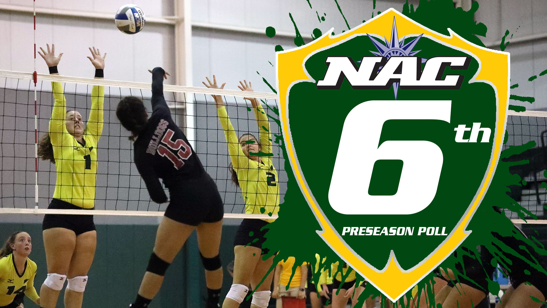 Women's Volleyball Voted Sixth in NAC Preseason Poll