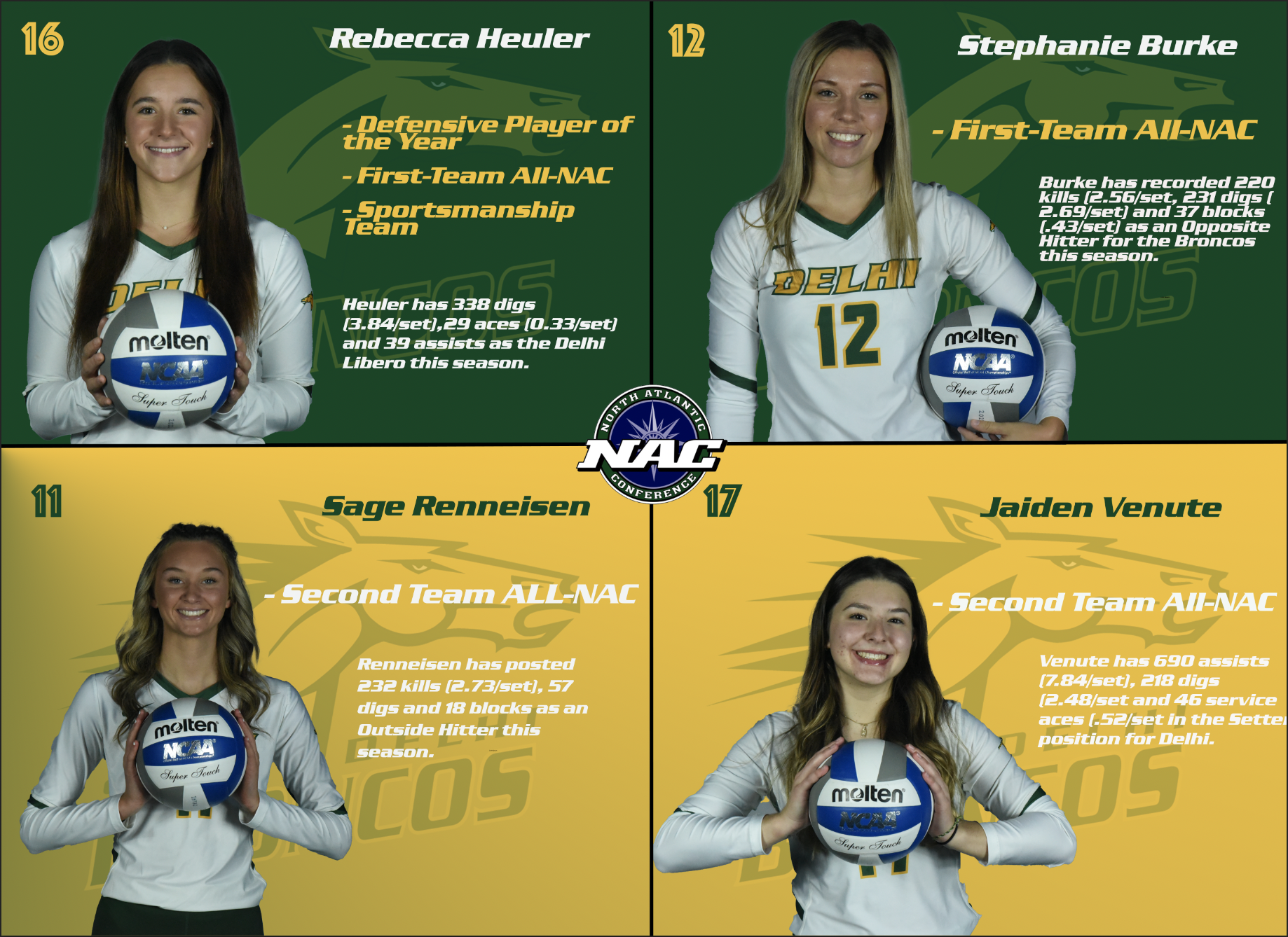 Women's Volleyball has Four Players Collect NAC Post-Season Honors