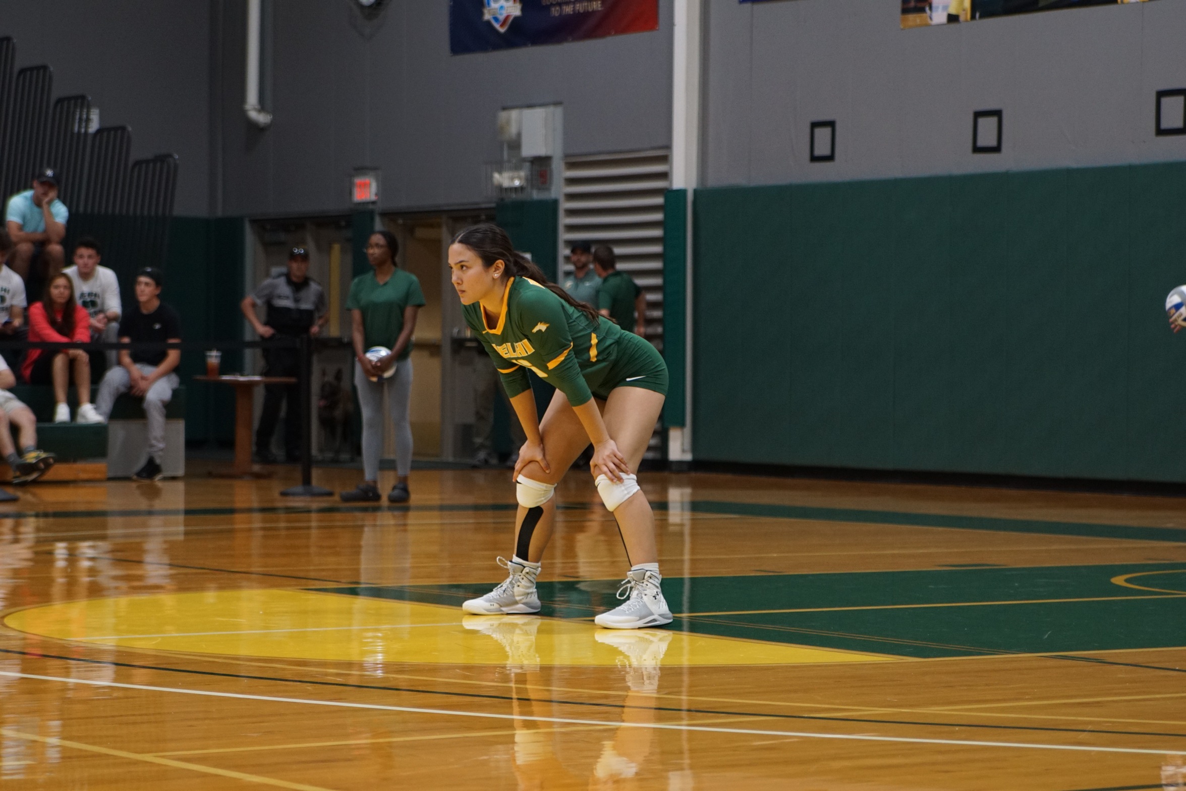 Women's Volleyball drops away match at Russell Sage 1-3