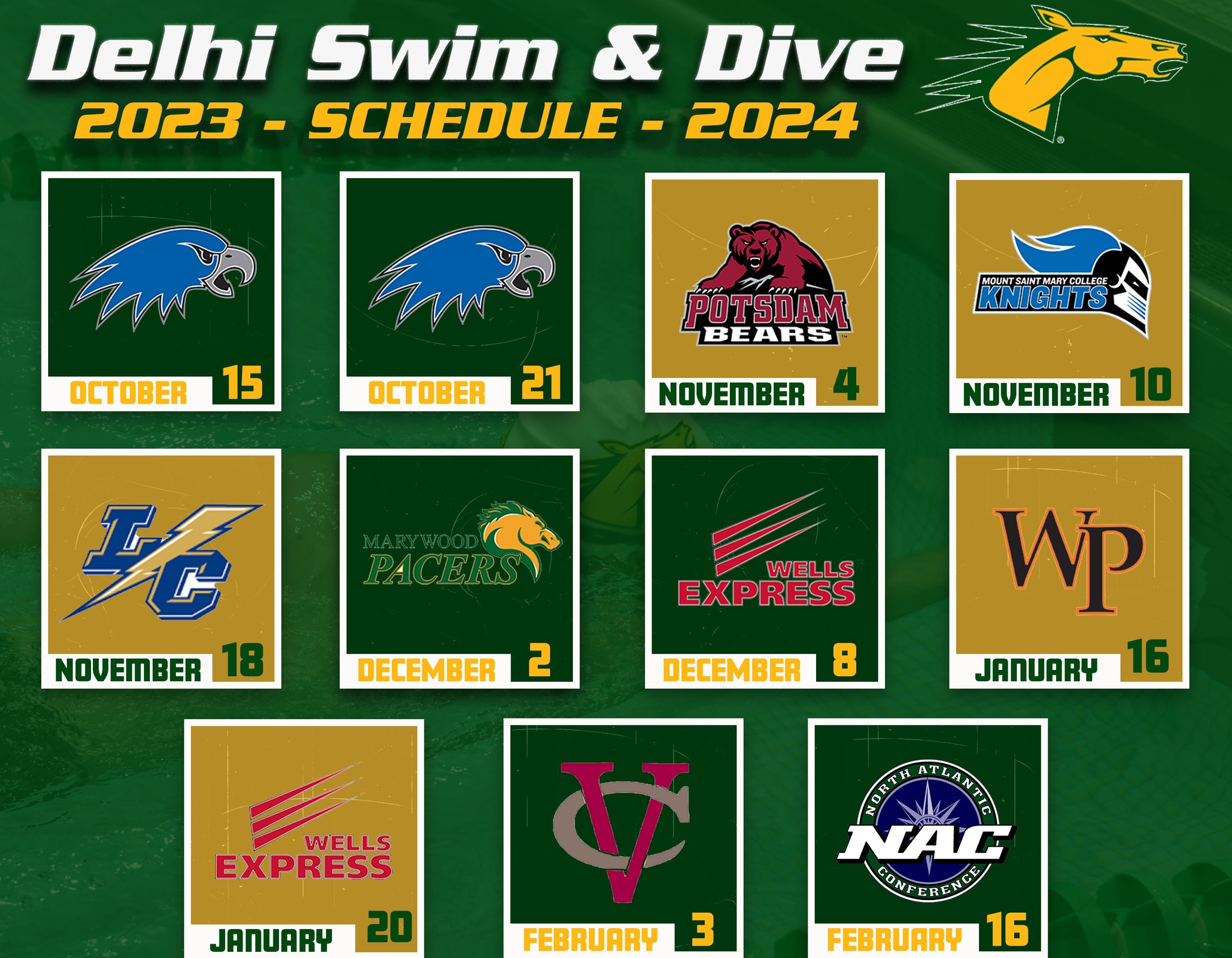 SUNY Delhi Swimming and Diving 2023-24 Season Preview