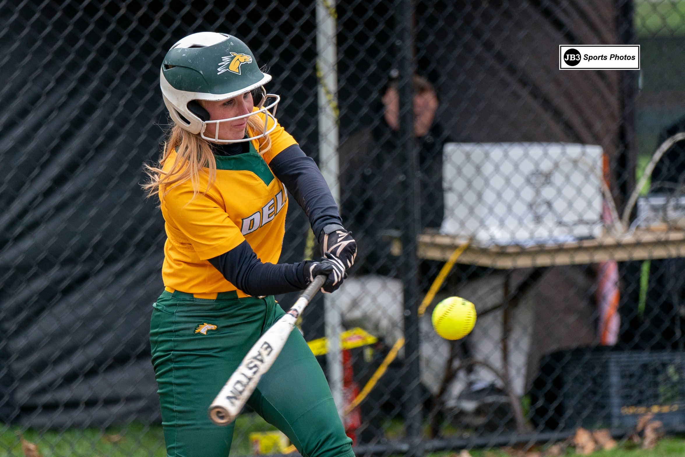 Softball defeated in NAC Doubleheader at Cobleskill
