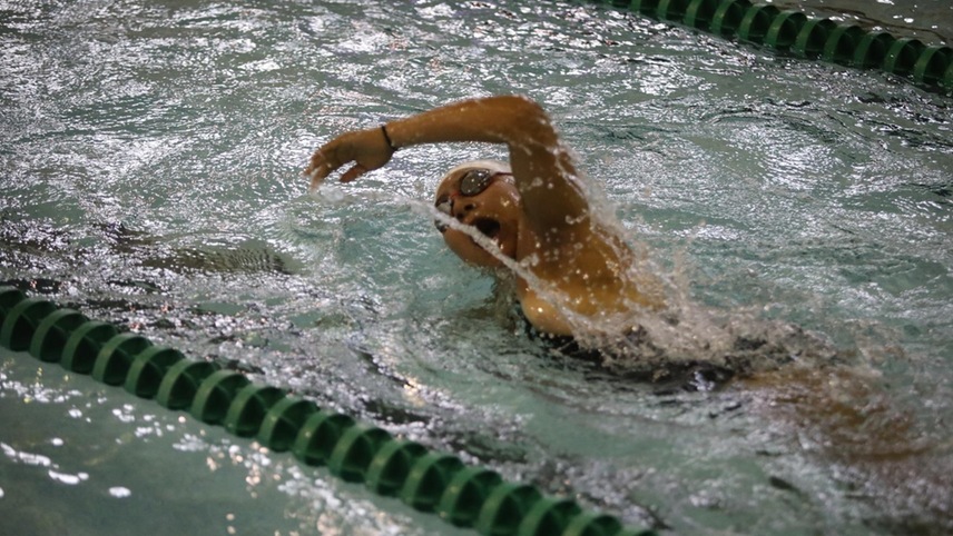 A swimmer swimming a freestyle.
