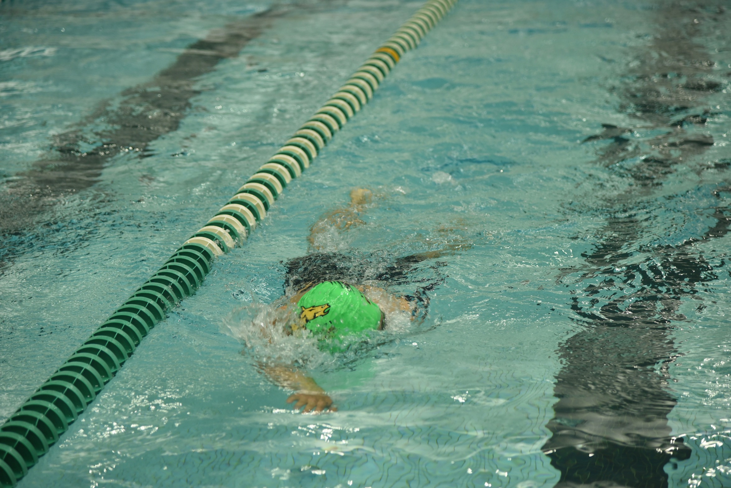 Swim Takes On Mt. St. Mary And F.I.T At Home Dual Meet