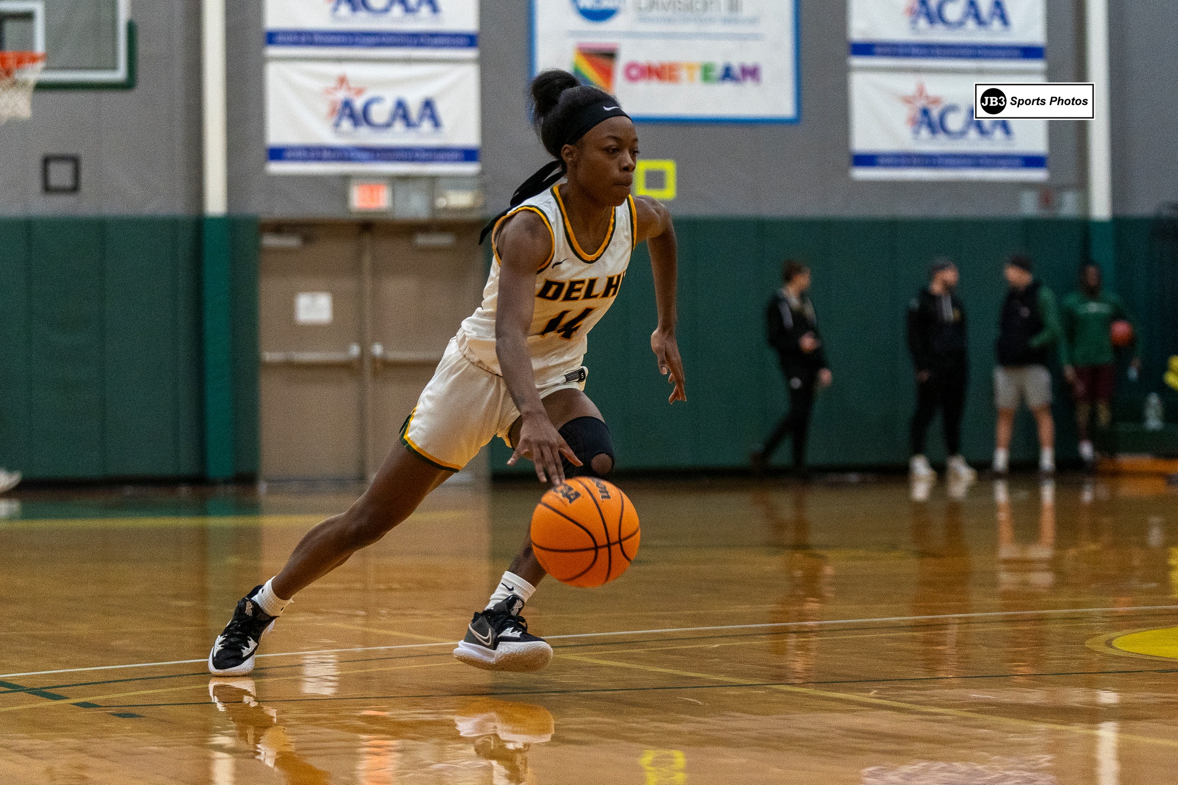 Women's Basketball Falls to SUNY Poly at Home