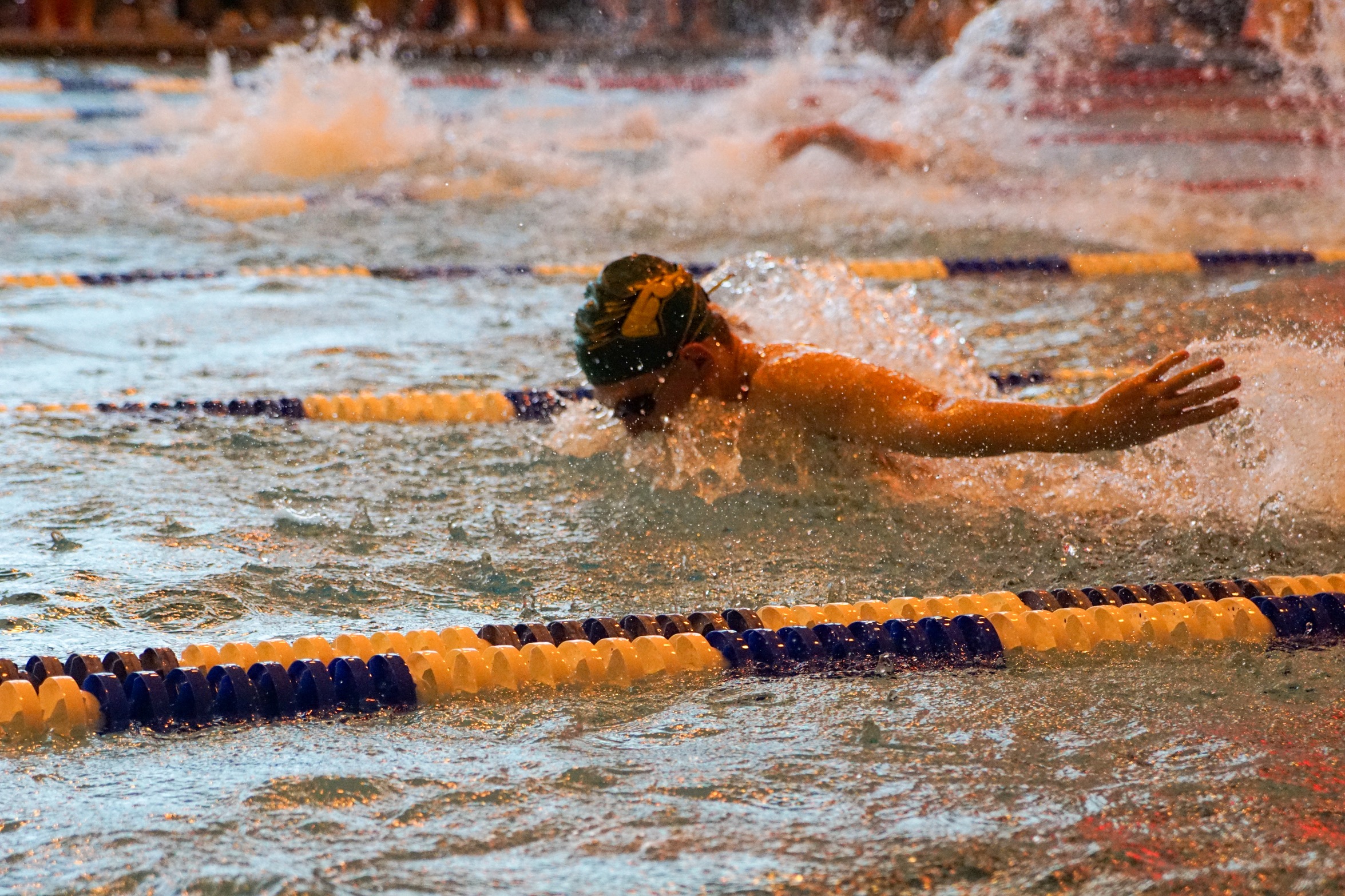 Delhi Swim and Dive races at Lehman College tri-meet with West Conn