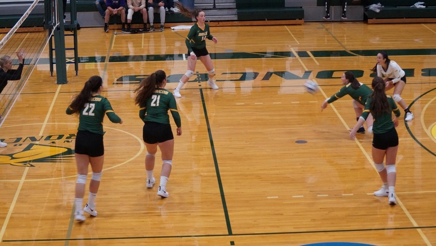 The team getting ready to return the ball following a serve.