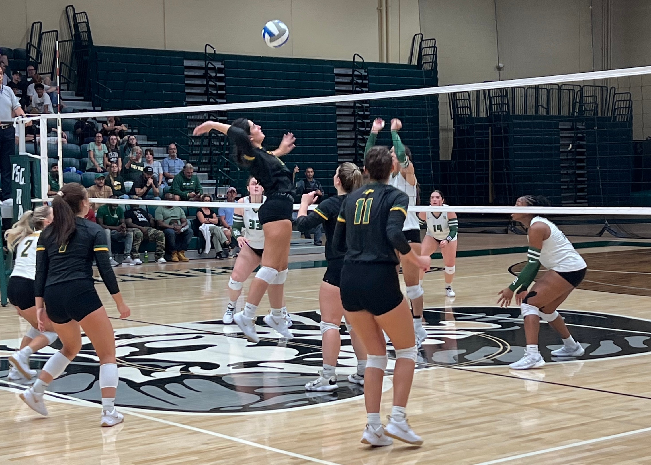 Women's Volleyball Falls to Farmingdale State, 3-1, in Season Opener