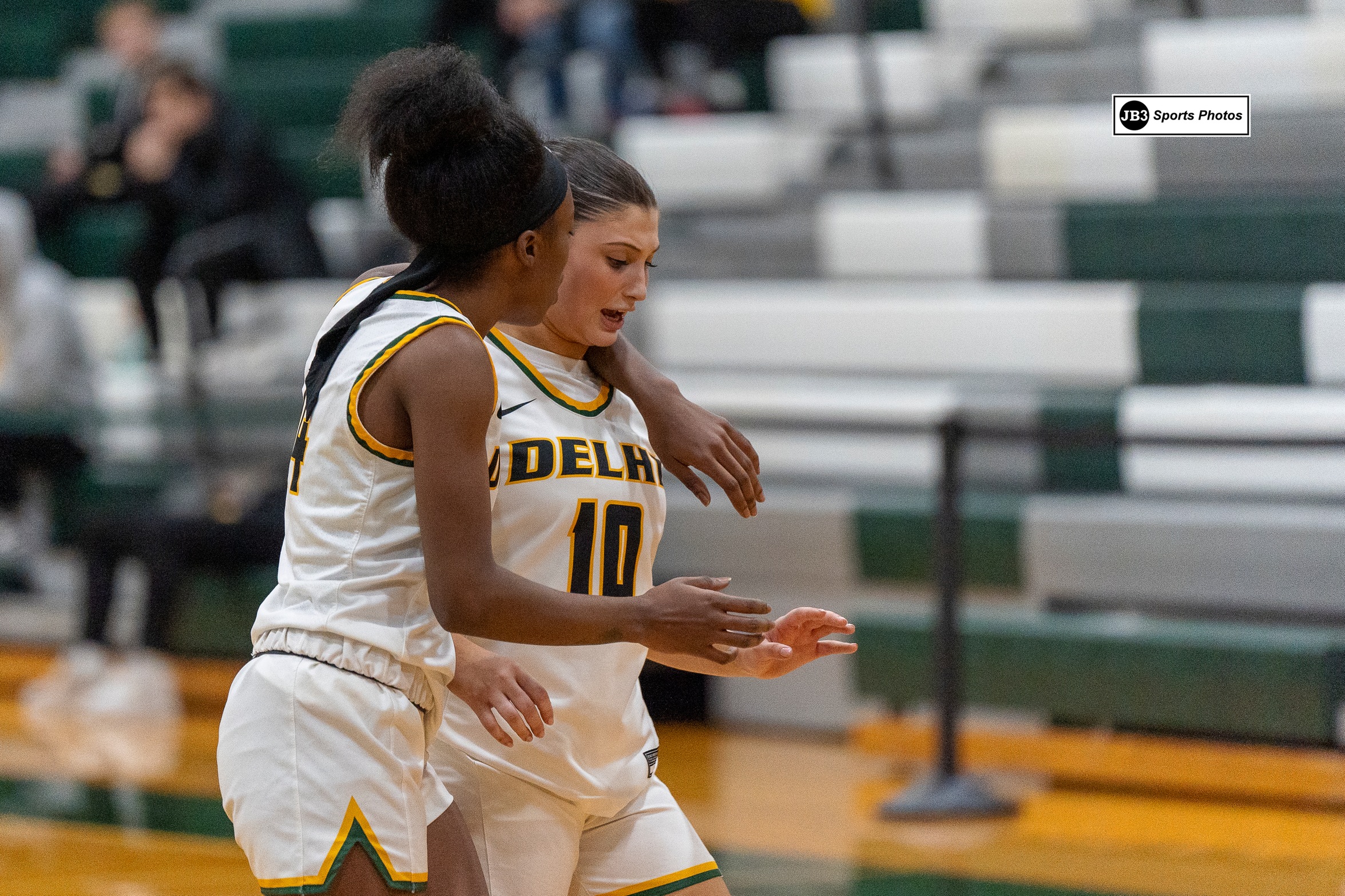 Delhi wraps up Elmira College Tipoff with loss to Penn College